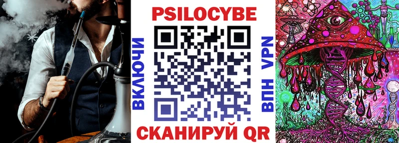 Псилоцибиновые грибы Cubensis  маркетплейс наркотические препараты  Отрадный  где найти  